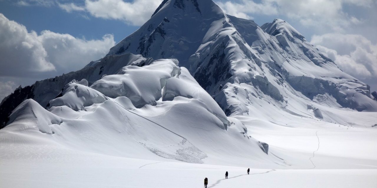 Притча про СЕО от Марка Розина