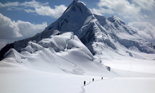Притча про СЕО от Марка Розина